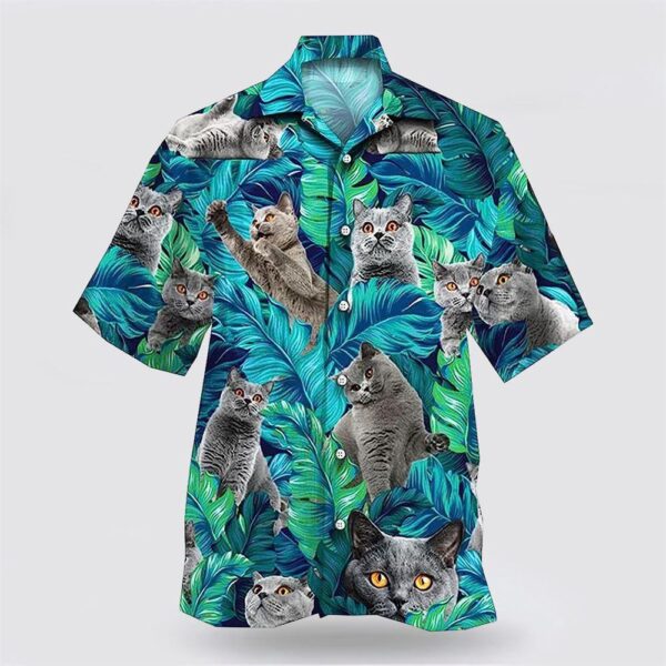 British Shorthair Cat With Funny Face In Tropic Hawaiin Shirt